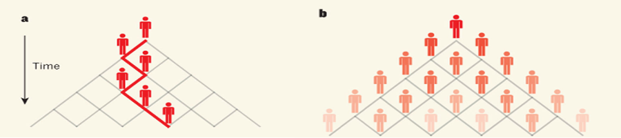 Quantum walks and quantum information